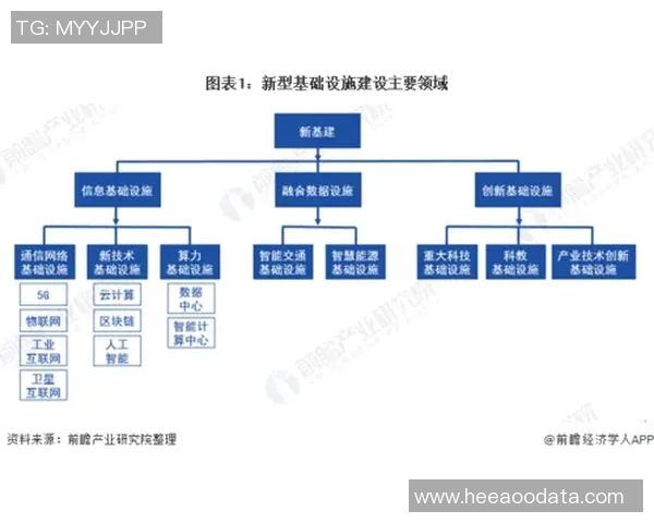 北京排球队战术解析与未来发展方向的深度探讨