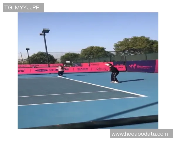 南京网球队防反战术分析与比赛表现的得失总结