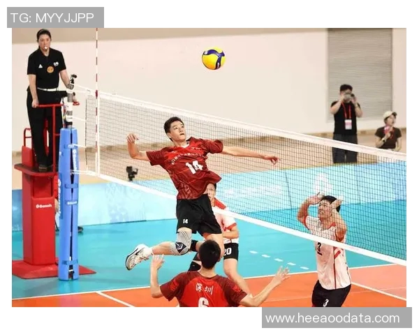 杭州排球队选拔赛背后的拼搏故事与奋斗精神展现