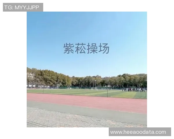 排球巨献：深入解析上海排球队的战术布局与训练秘诀