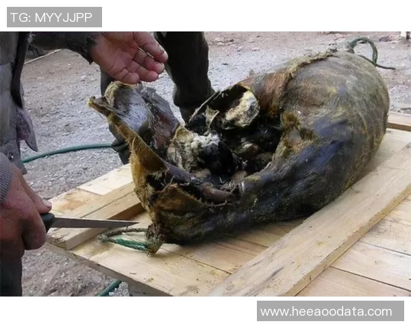 对话黄秀英:回顾她的网球生涯与心路历程分享 对话黄秀英:回顾她的网球生涯与心路历程分享