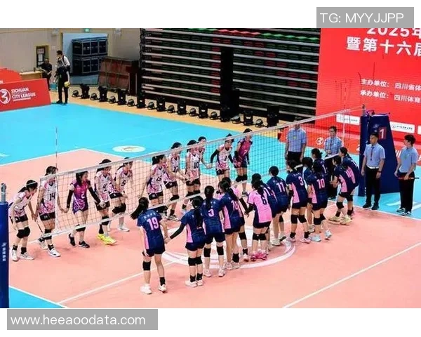 成都排球队灵活性排名创新高引发广泛关注与讨论 成都排球队灵活性排名创新高引发广泛关注与讨论