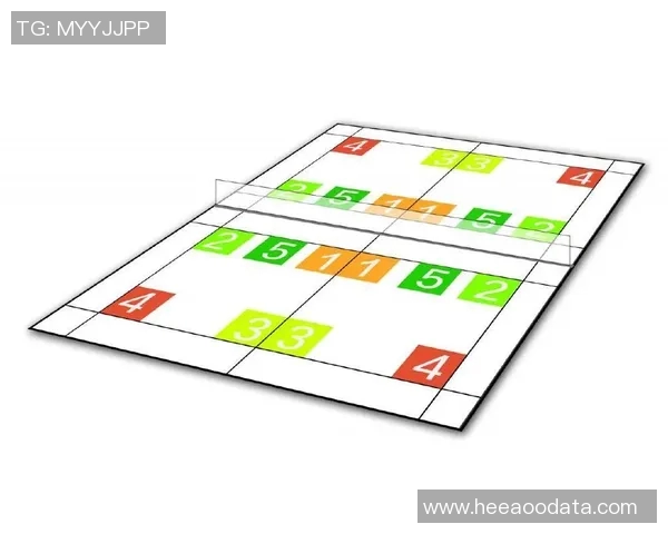 武汉羽毛球队进攻体系解析与战术运用探讨 武汉羽毛球队进攻体系解析与战术运用探讨
