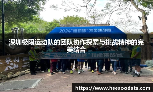 YY易游SPORTS
