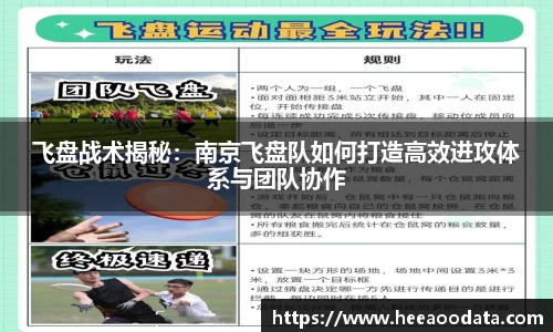 飞盘战术揭秘：南京飞盘队如何打造高效进攻体系与团队协作