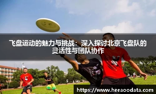 飞盘运动的魅力与挑战：深入探讨北京飞盘队的灵活性与团队协作