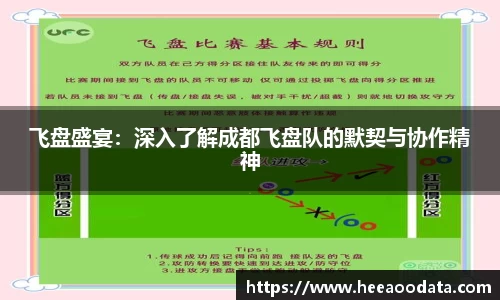 飞盘盛宴：深入了解成都飞盘队的默契与协作精神